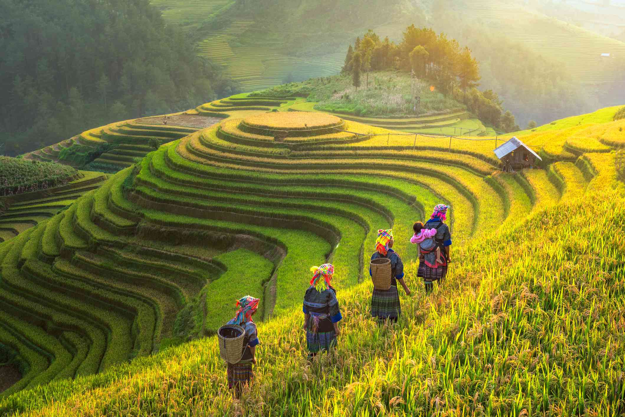 SAPA 2 DAYS 2 NIGHT