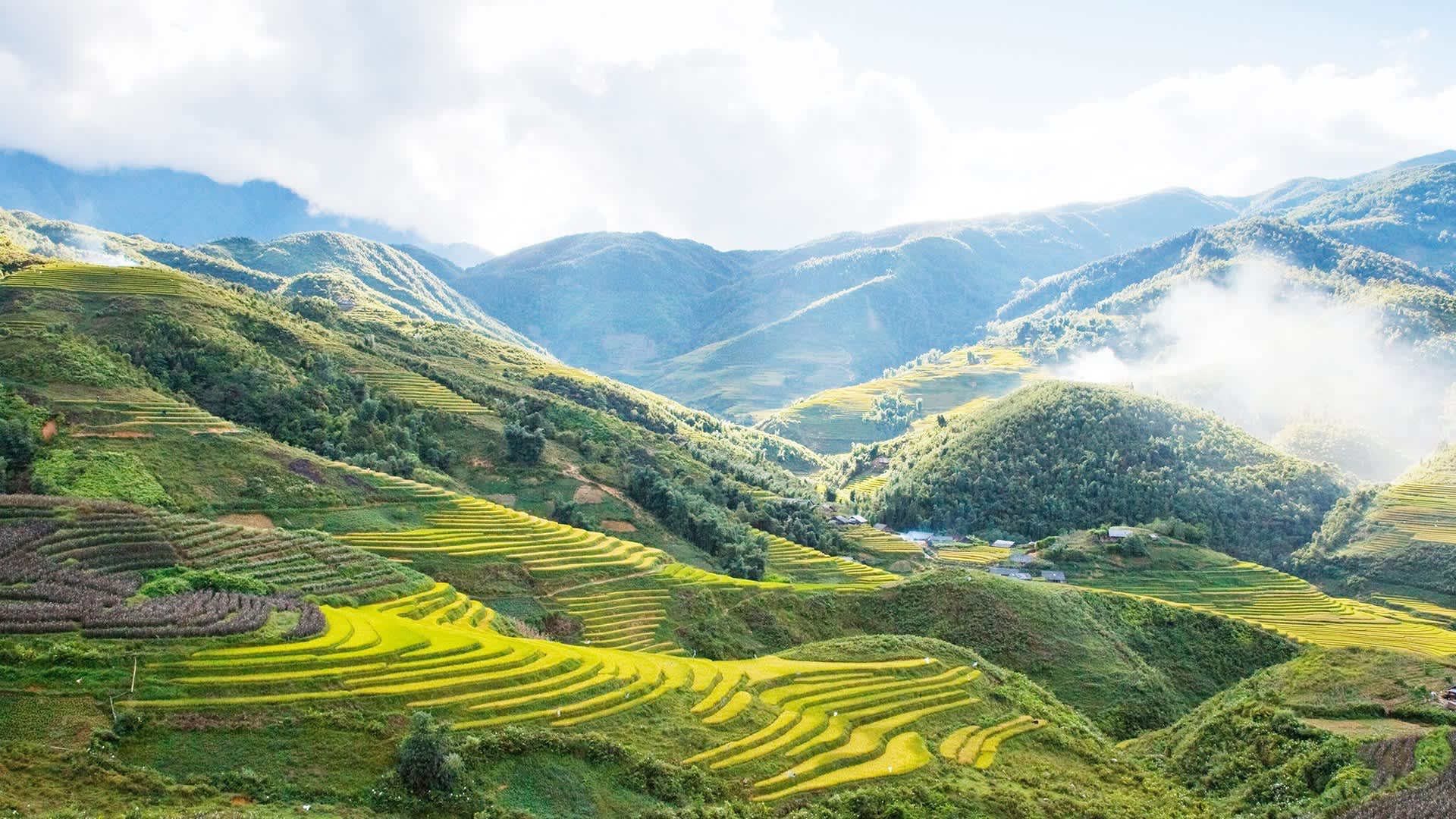 VIETNAM 9 DAYS: HANOI, SAPA, HALONG BAY, HOI AN & SAIGON
