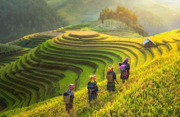 SAPA 3 DAYS 3 NIGHT
