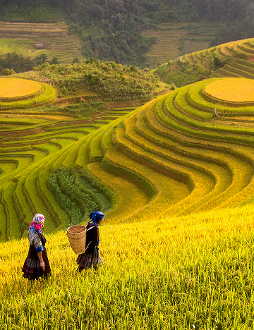 Lao Cai