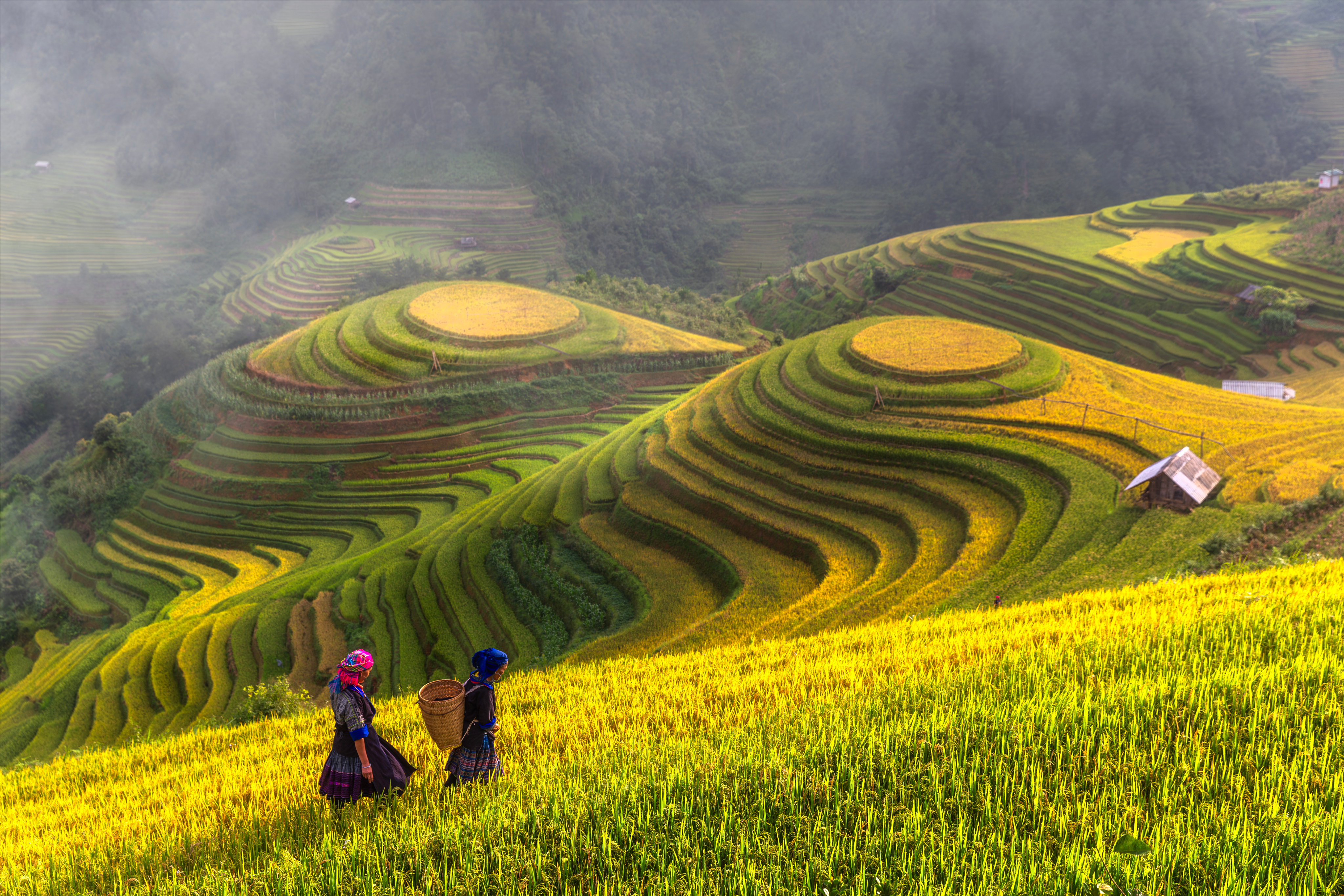 Vietnam cultural tour