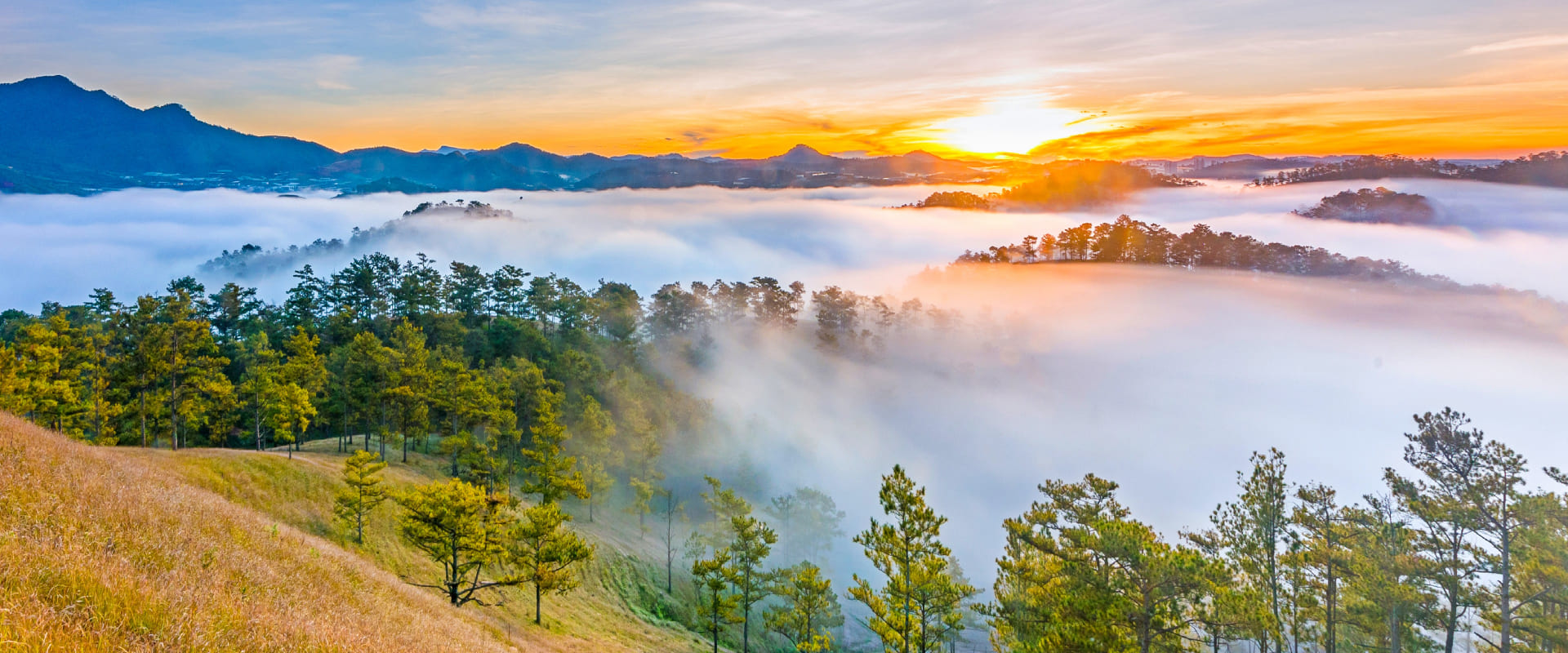 Da Lat